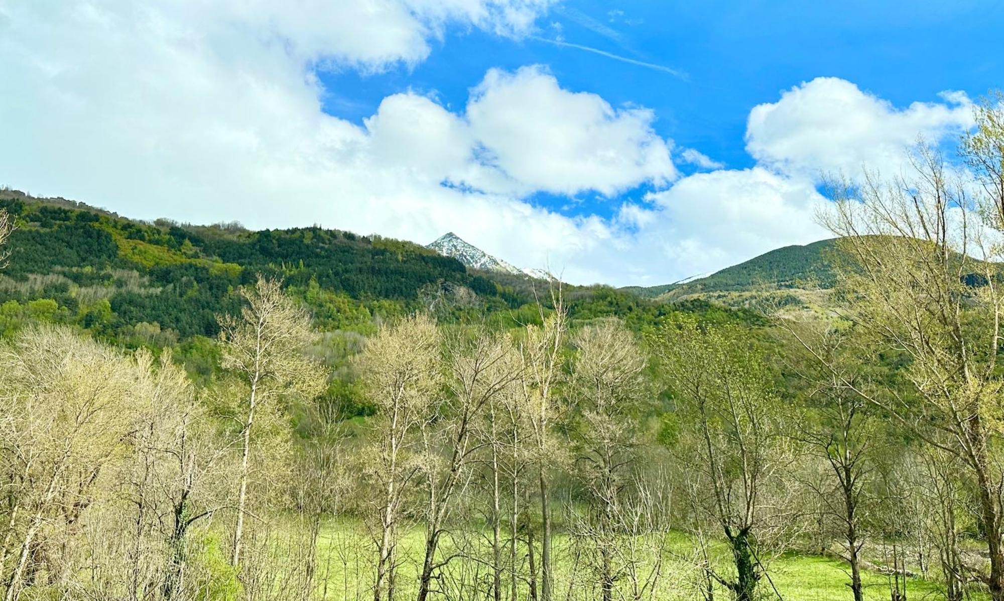 Apartmán Bpirineos-Besurta Benasque Exteriér fotografie